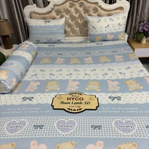 Sản phẩm Hyco 6